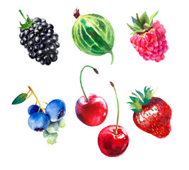 Set of different berries. Watercolor painting, isolation on a white background
