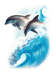 Color drawing: two dolphins on a wave. Watercolor pencils - obrazy, fototapety, plakaty