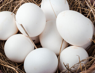 white chicken eggs in a hay basket close-up, top view
