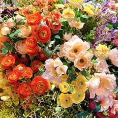 Various flowers