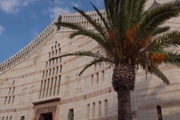 Palm with dates, blue sky and Basilica of the Annunciation in Nazareth. Light clouds, sunny day