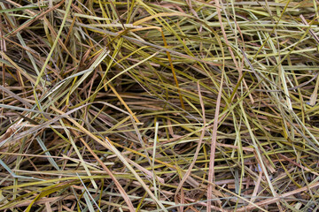 Heap of grass, hay for animal feed