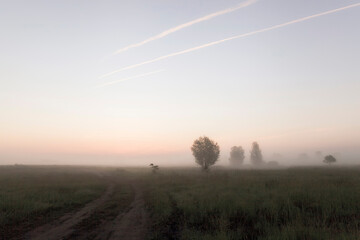 Sunrise on a meadow with fog