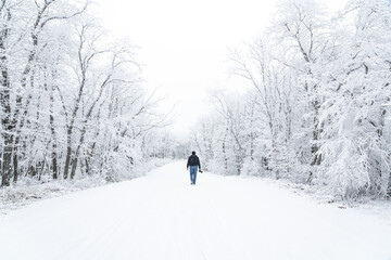 Travel photographer walking on a snowy road in the forest