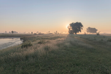 Sunrise on a meadow with fog