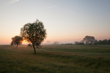 Obraz premium Sunrise on a meadow with fog