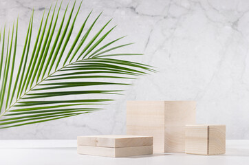 Wooden podiums with green palm leaf in sunlight on white wood table and marble wall. Fashion showcase for cosmetic products, goods, shoes, bags, watches.