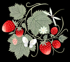 Hand drawn strawberry ornament isolated on black background. Art painting in cold colors.