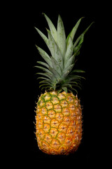 Pineapple on a black background