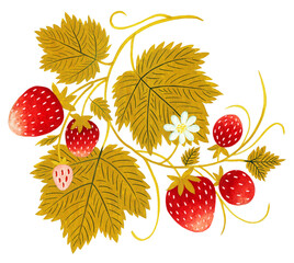 Hand drawn strawberry ornament isolated on white background. Art painting in warm colors.