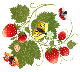 Hand drawn strawberry ornament isolated on white background. Art painting