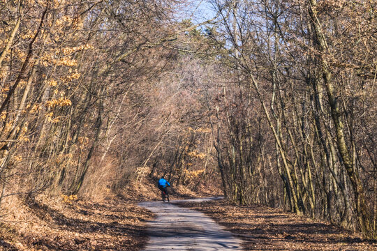 Sunny weather at Normafa over Budapest