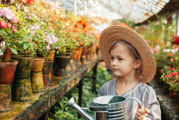 Obraz premium Child planting spring flowers. Little girl gardener plants azalea. Girl holding azalea bush in flower pot. Child taking care of plants. Toddler with flower basket. girl holding pink flowers