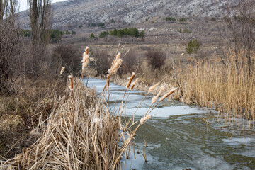 frozen river in the countryside