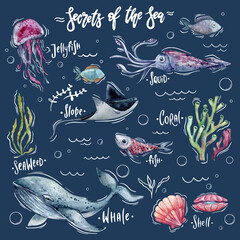 Obraz premium Set of watercolor illustration of marine life