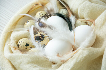 easter chicken and quail eggs with feathers in a towel on a dark wooden background simple