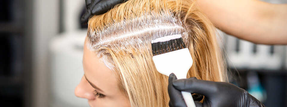 The hairdresser dyeing blonde hair roots with a brush for a young woman in a hair salon