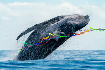 Breaching whale with stock market money cripto value bitcoin diagram flow chart