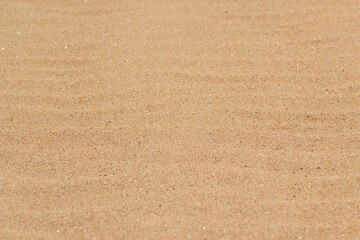 Sand texture. Sandy beach background, top view