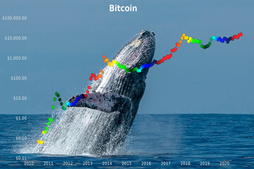 Breaching whale with stock market money cripto value bitcoin diagram flow chart