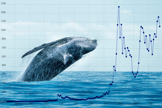 Breaching whale with stock market money cripto value bitcoin diagram flow chart