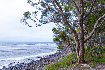 On the coast of Noosa Heads in stormy weather