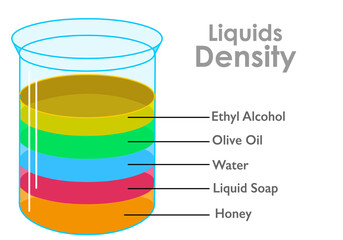 Liquids density, separate fluids layers. Different colorful material parts, mass water, oil, honey, soap, ethyl alcohol. Weight, intensity experiment. In glass container flask. illustration vector - obrazy, fototapety, plakaty