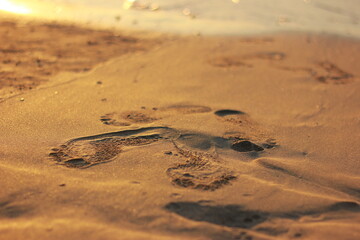 footprints in the sand