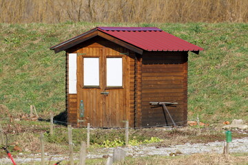 Garden storage tool shed made of wooden boards and metal roof tiles with locked doors and two closed windows built in local urban garden on warm sunny winter day