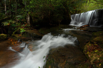 Cascading waterfall through Australian bush land