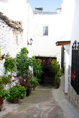 Fototapeta na wymiar Soportujar, el pueblo de las brujas en la Alpujarra de Granada. Casas blancas y callejuelas mágicas