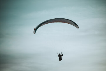 Paraglider