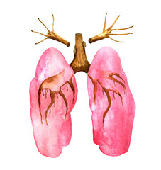 Watercolor illustration of lungs. Pneumonia. Healthcare. Healthy way of life. Medical illustration. Saturation. Abstract illustration of deforestation