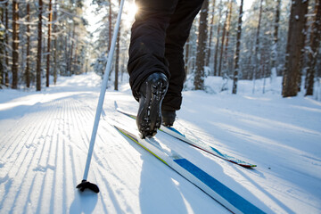 Winter sport in Finland - cross-country skiing. Woman skiing in sunny winter forest covered with snow. Active people outdoors. Scenic peaceful Finnish landscape. close-up skiing