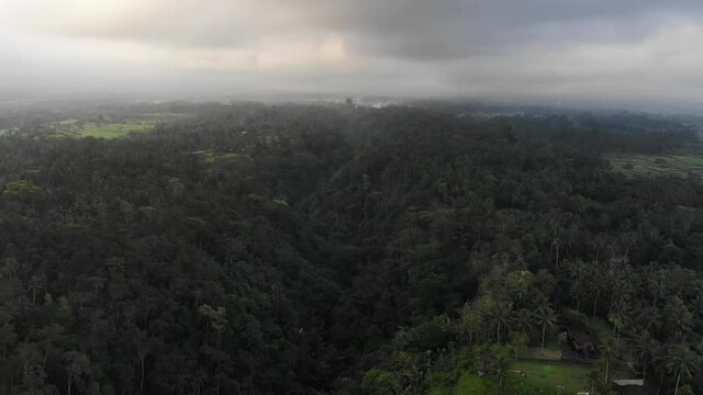 Aerial view on Bali jungle
