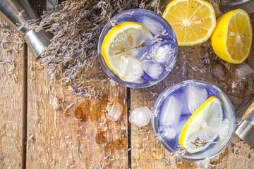 Lavender alcoholic cocktail