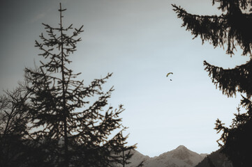 Paraglider