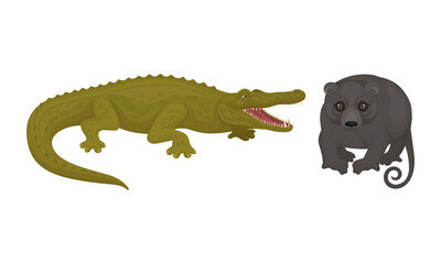 Crocodile and Possum as Australian Animals Vector Set