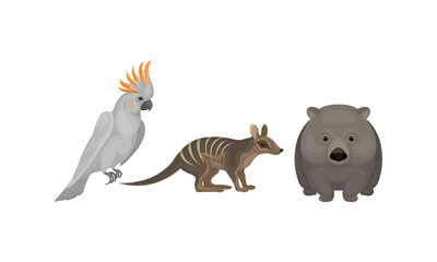 Common Wombat and Bandicoot as Australian Animals Vector Set