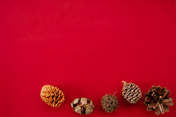 pieces of pine cones on a red background
