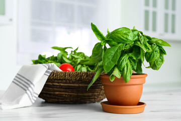 Fresh green basil in pot on white marble table in kitchen