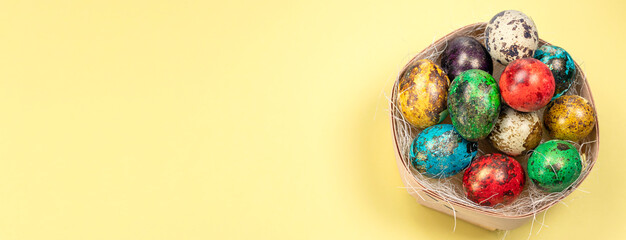 Banner with colorful eggs in the nest. Eggs in nest. Happy Easter concept. Painted eggs in a nest with a blue and white rose on a pastel yellow background.