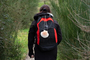 Pilgrim brunette woman, with ponytail, a black and red backpack with a hanging shell, doing the Camino de Santiago, surrounded by green bushes. Way of st James