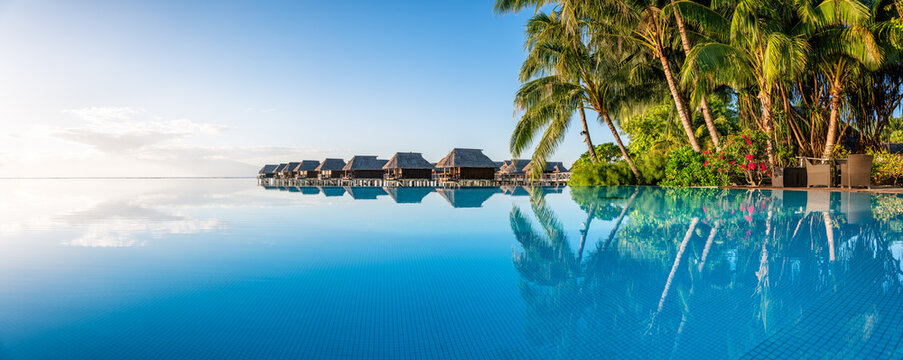 Infinity pool at a luxury beach resort on a tropical island - Powered by Adobe