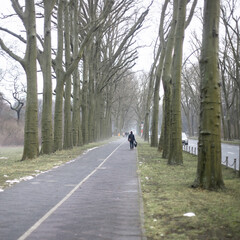 Full length view at the lonely person walking at the fog at the evening at city park