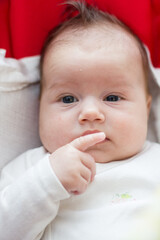 Charming baby girl portrait