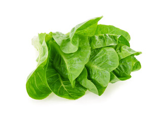 Butter head lettuce vegetable for salad on white background