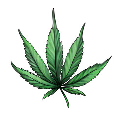  cannabis leaf isolated on a white background. Green marijuana leaf. 