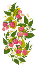 Hand drawn raspberry ornament isolated on white background. Art painting in warm colors