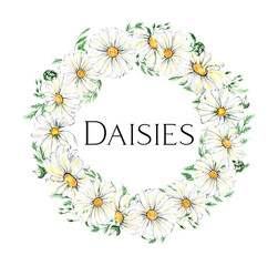 Watercolor daisy wreath clipart, Chamomile flowers clipart, hand painted daisies frames, Watercolor white flowers, meadow flowers isolated for baby shower, wedding, birthday card, easter